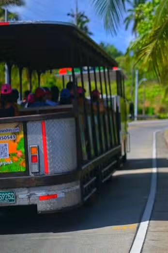 Tren turístico